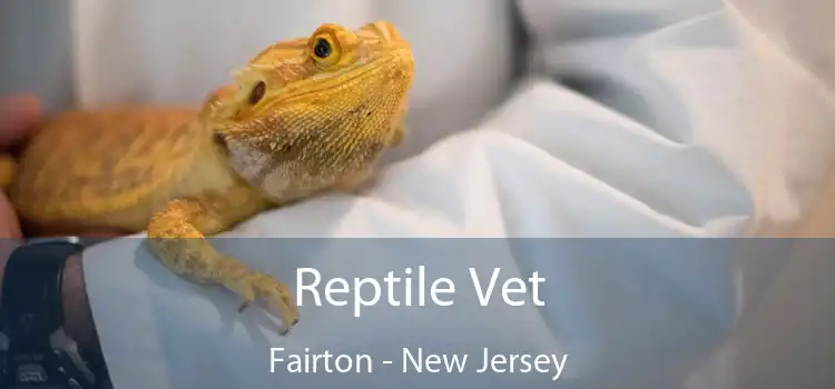 Reptile Vet Fairton - New Jersey