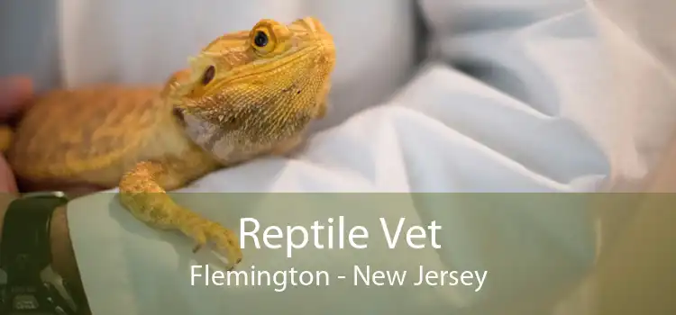 Reptile Vet Flemington - New Jersey