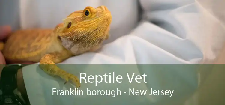 Reptile Vet Franklin borough - New Jersey