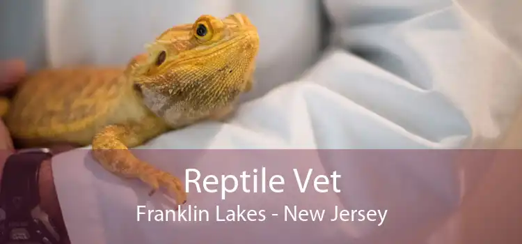 Reptile Vet Franklin Lakes - New Jersey