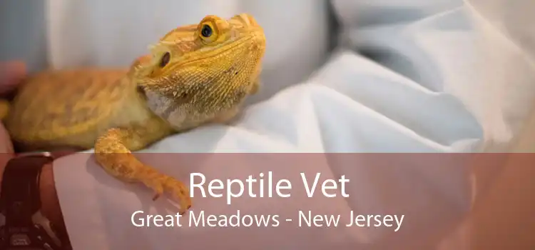 Reptile Vet Great Meadows - New Jersey