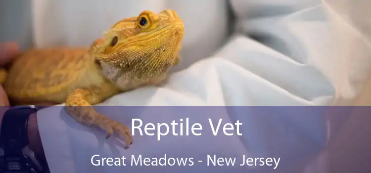 Reptile Vet Great Meadows - New Jersey