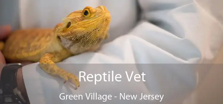 Reptile Vet Green Village - New Jersey