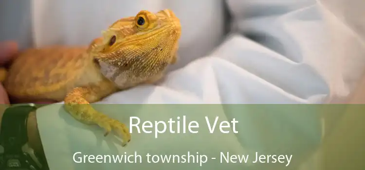 Reptile Vet Greenwich township - New Jersey