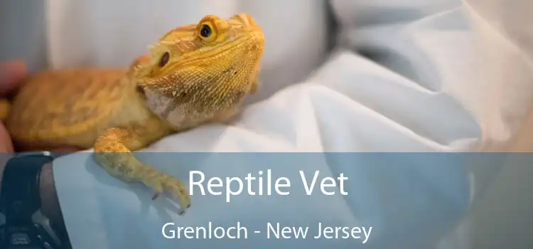 Reptile Vet Grenloch - New Jersey