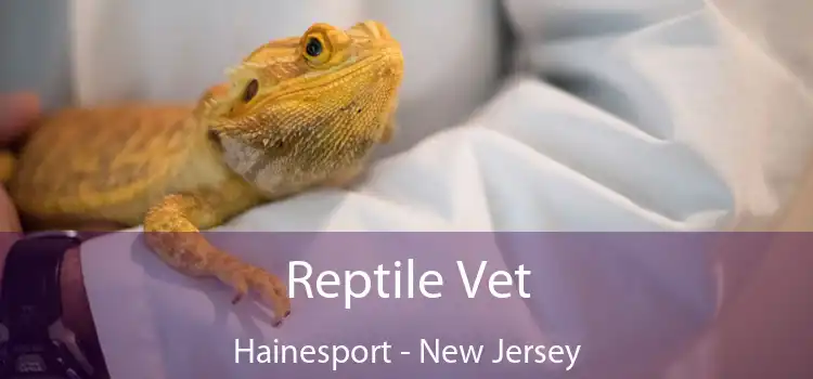 Reptile Vet Hainesport - New Jersey