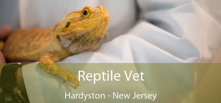 Reptile Vet Hardyston - New Jersey