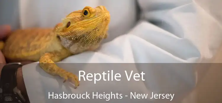 Reptile Vet Hasbrouck Heights - New Jersey