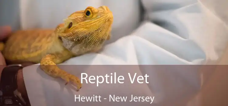 Reptile Vet Hewitt - New Jersey