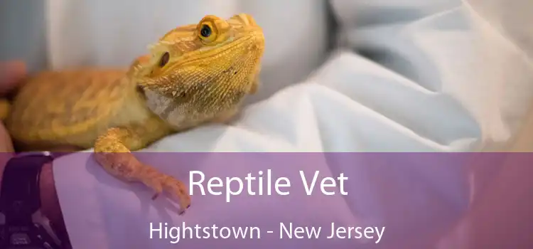 Reptile Vet Hightstown - New Jersey