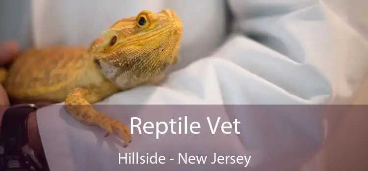 Reptile Vet Hillside - New Jersey