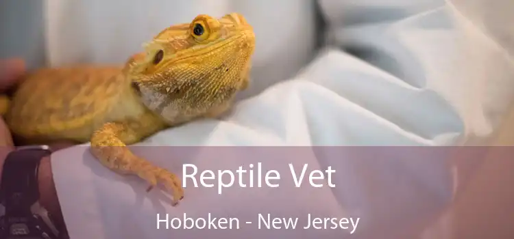 Reptile Vet Hoboken - New Jersey