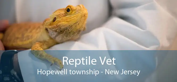 Reptile Vet Hopewell township - New Jersey