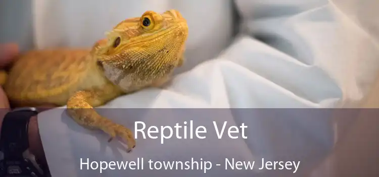 Reptile Vet Hopewell township - New Jersey