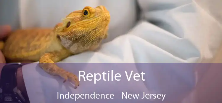 Reptile Vet Independence - New Jersey