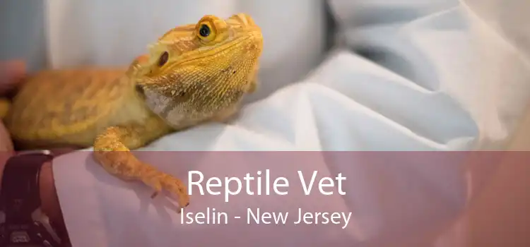 Reptile Vet Iselin - New Jersey
