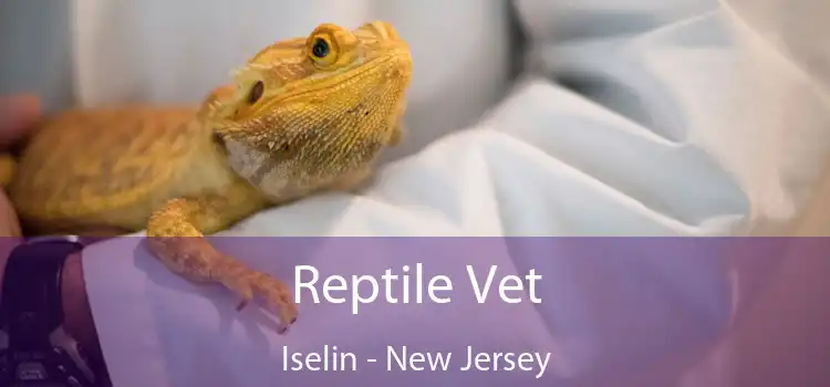 Reptile Vet Iselin - New Jersey