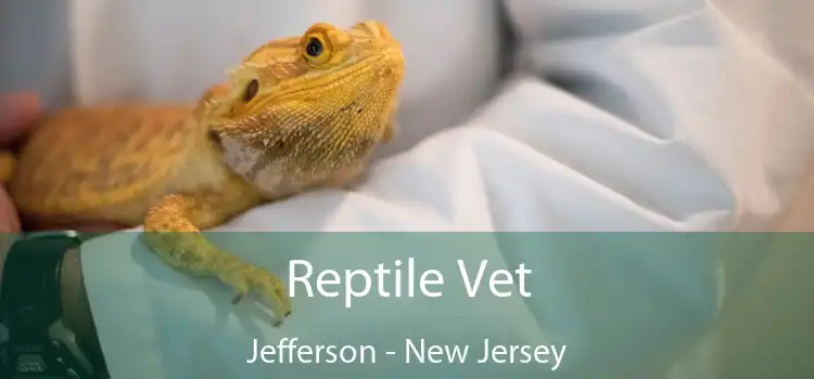 Reptile Vet Jefferson - New Jersey