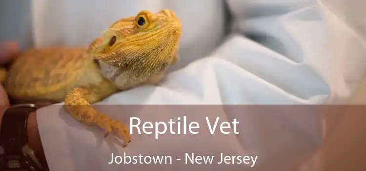 Reptile Vet Jobstown - New Jersey