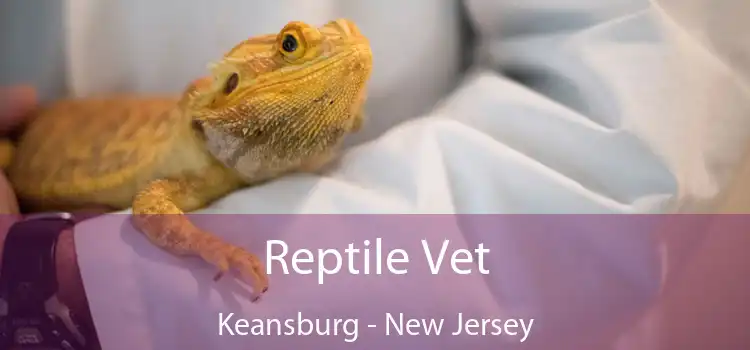 Reptile Vet Keansburg - New Jersey