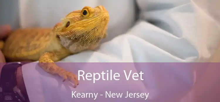 Reptile Vet Kearny - New Jersey