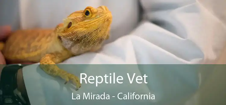 Reptile Vet La Mirada - California