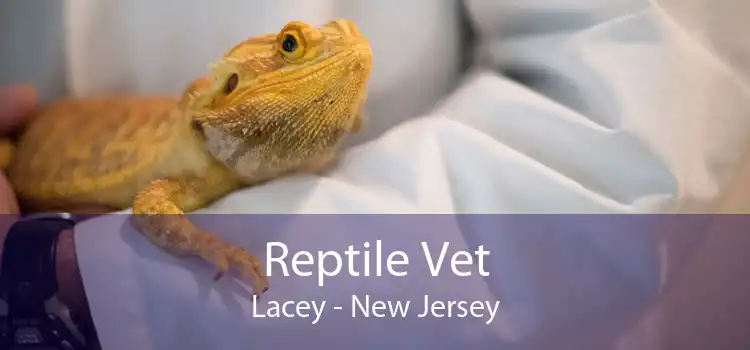 Reptile Vet Lacey - New Jersey