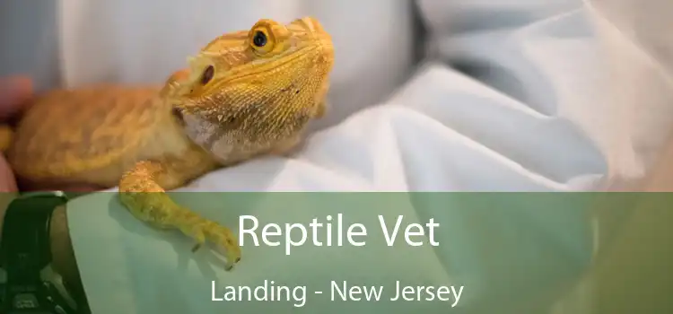 Reptile Vet Landing - New Jersey