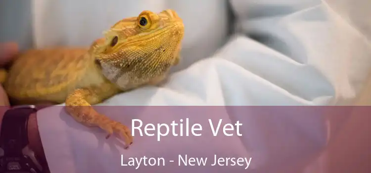 Reptile Vet Layton - New Jersey