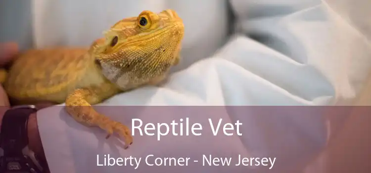 Reptile Vet Liberty Corner - New Jersey