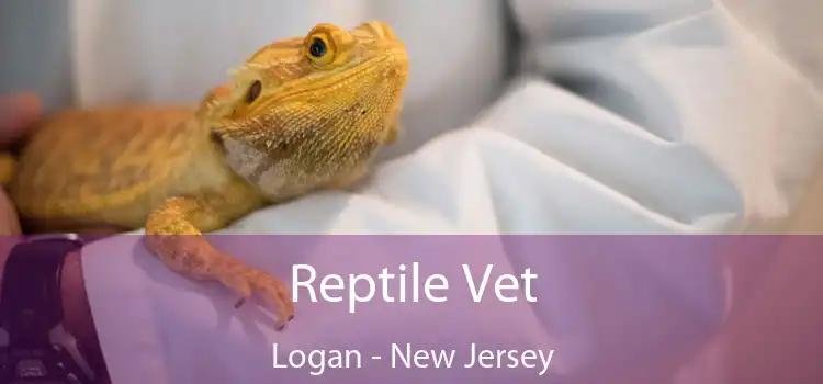 Reptile Vet Logan - New Jersey