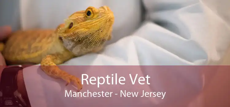 Reptile Vet Manchester - New Jersey