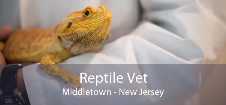 Reptile Vet Middletown - New Jersey