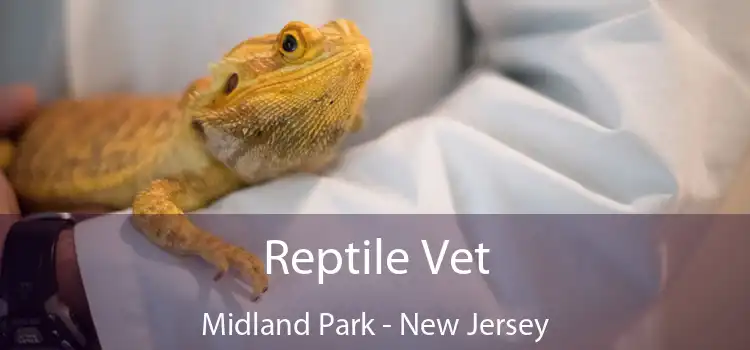 Reptile Vet Midland Park - New Jersey