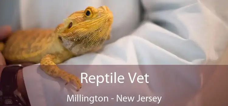 Reptile Vet Millington - New Jersey