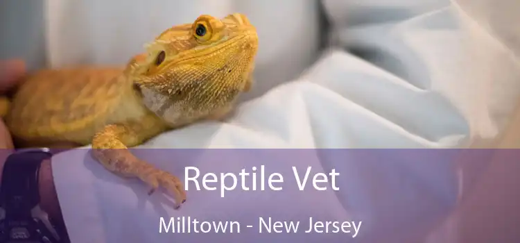 Reptile Vet Milltown - New Jersey