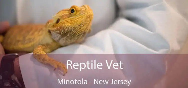 Reptile Vet Minotola - New Jersey