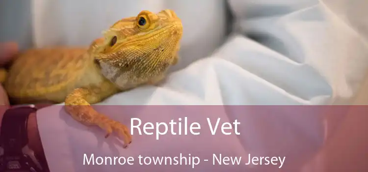 Reptile Vet Monroe township - New Jersey