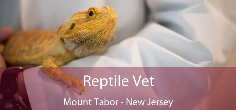 Reptile Vet Mount Tabor - New Jersey