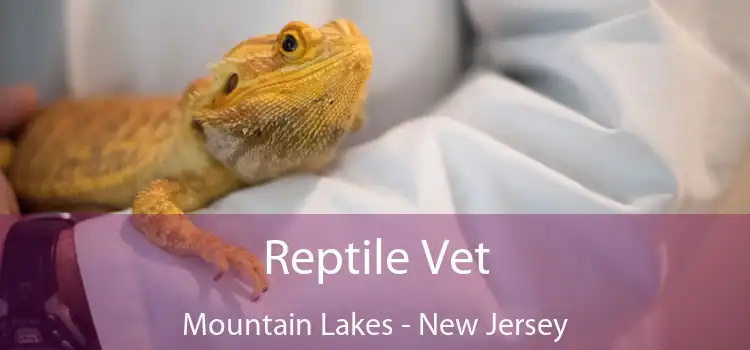 Reptile Vet Mountain Lakes - New Jersey