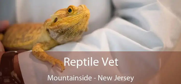 Reptile Vet Mountainside - New Jersey