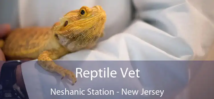 Reptile Vet Neshanic Station - New Jersey