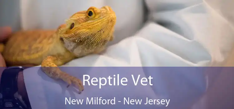 Reptile Vet New Milford - New Jersey