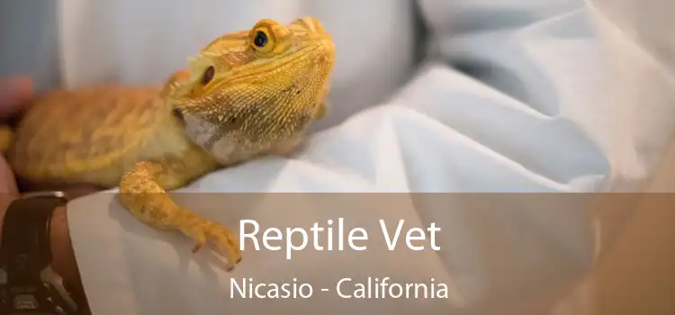 Reptile Vet Nicasio - California