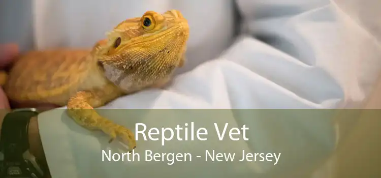 Reptile Vet North Bergen - New Jersey