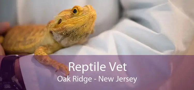 Reptile Vet Oak Ridge - New Jersey