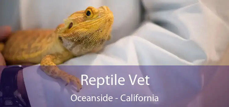 Reptile Vet Oceanside - California