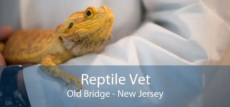 Reptile Vet Old Bridge - New Jersey