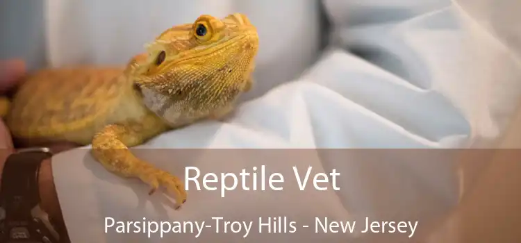 Reptile Vet Parsippany-Troy Hills - New Jersey