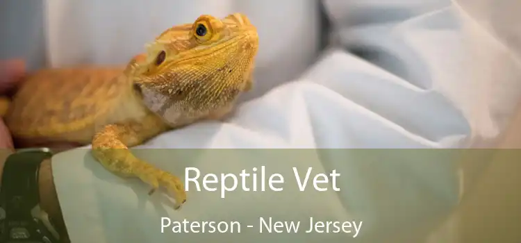 Reptile Vet Paterson - New Jersey